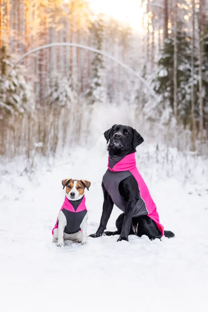 Jumppa_Pink5.webp