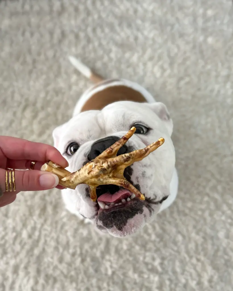 kivo kippenpoot.webp