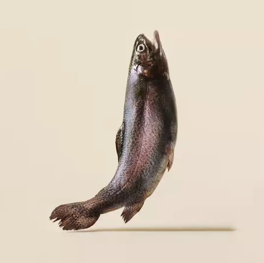gravy pouch trout.webp