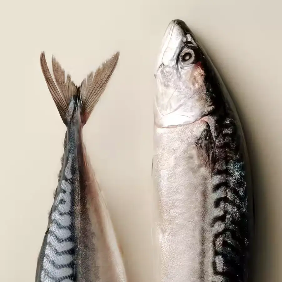 crunchy snack mackerel.webp