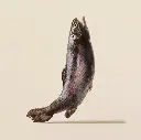 gravy pouch trout.webp