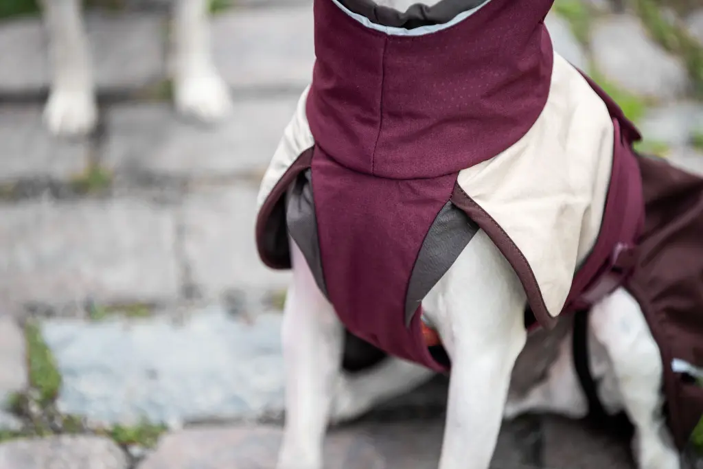 Arctic_Maroon13.webp