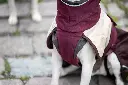 Arctic_Maroon13.webp