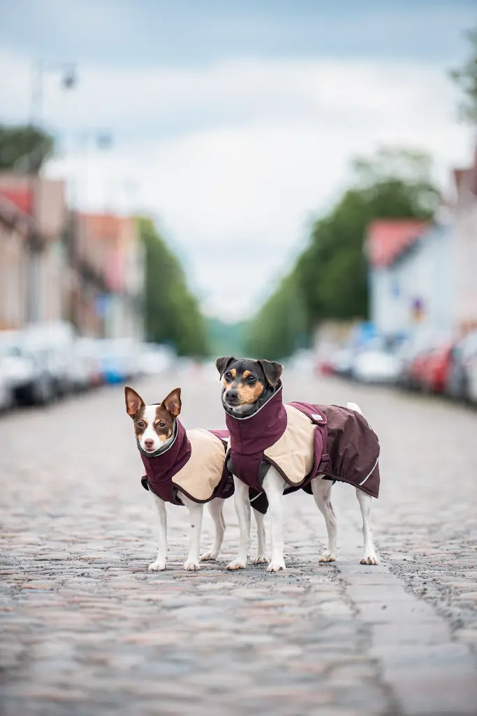Arctic_Maroon2.webp