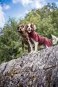 Woolie_Maroon_Olive1.webp