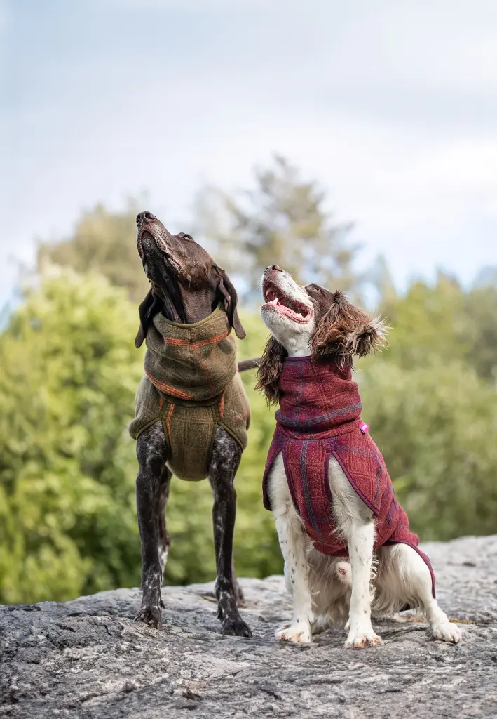 Woolie_Maroon_Olive7.webp