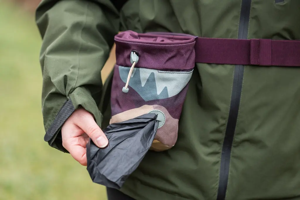 TreatBag1.webp