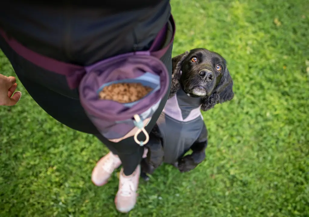 TreatBag5.webp