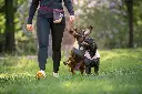 TreatBag4.webp