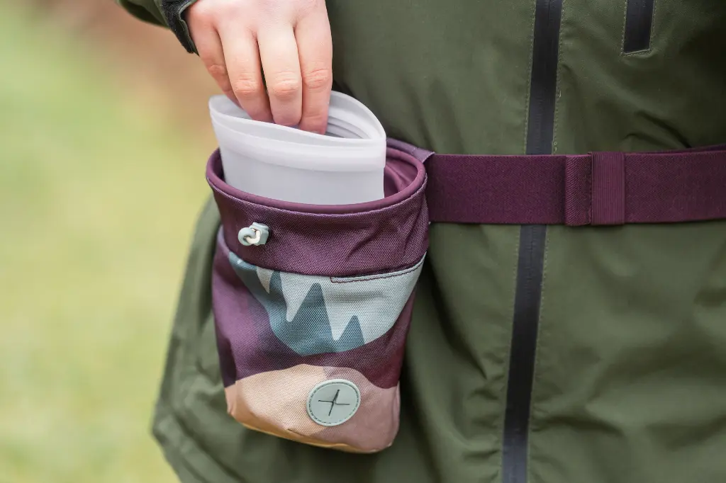TreatBag2.webp