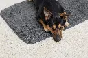SettleMat2.webp