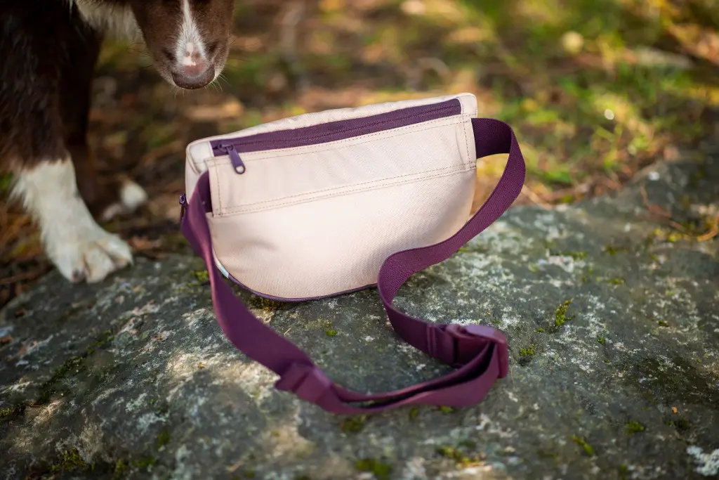 BeltBag_Maroon5.webp