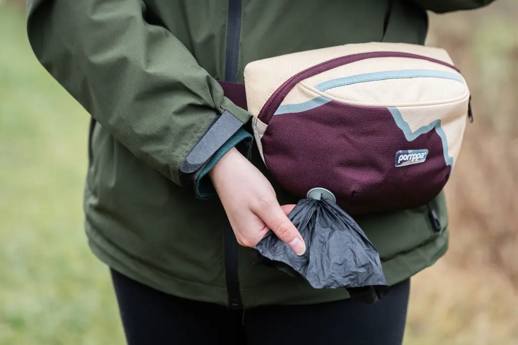 BeltBag_Maroon1.webp