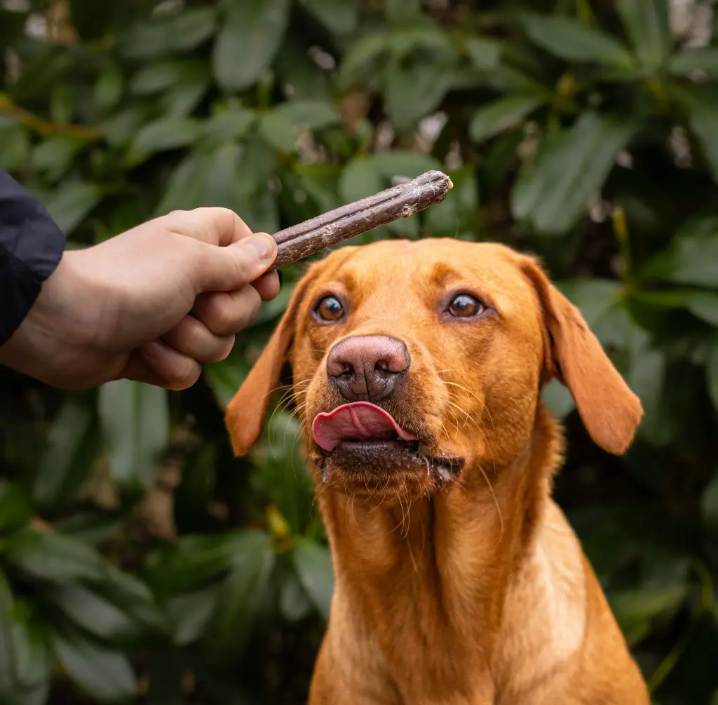 finest 4 @eventyrlabber.webp