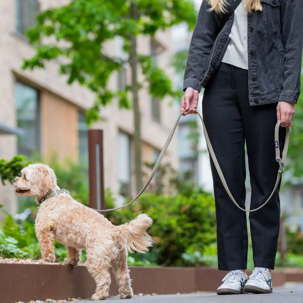 Lifestyle-Urban Classic Leash_1.webp