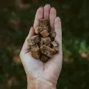 elk liver.webp