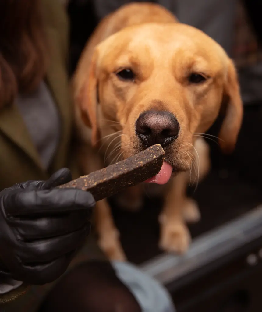 3192-1_FINEST LAMB & VENISON BARS_Product Image_Website.webp