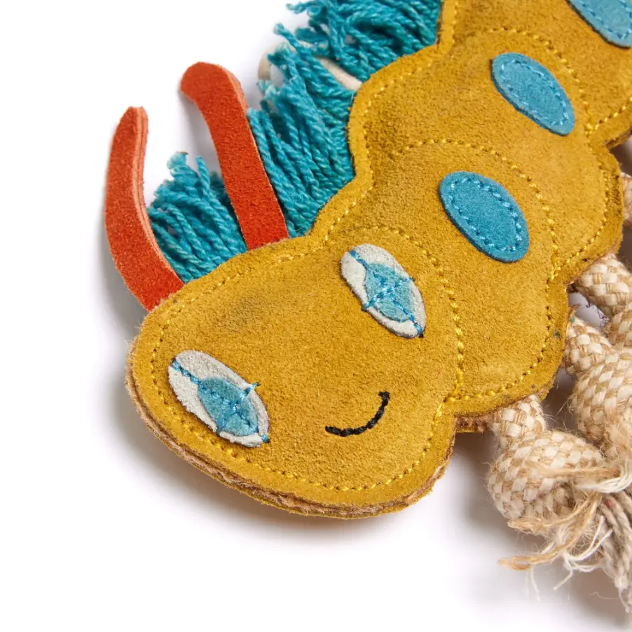 clara caterpillar 2.webp