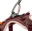 ergomove pro bes 6.webp