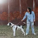 ergomove pro leash.webp