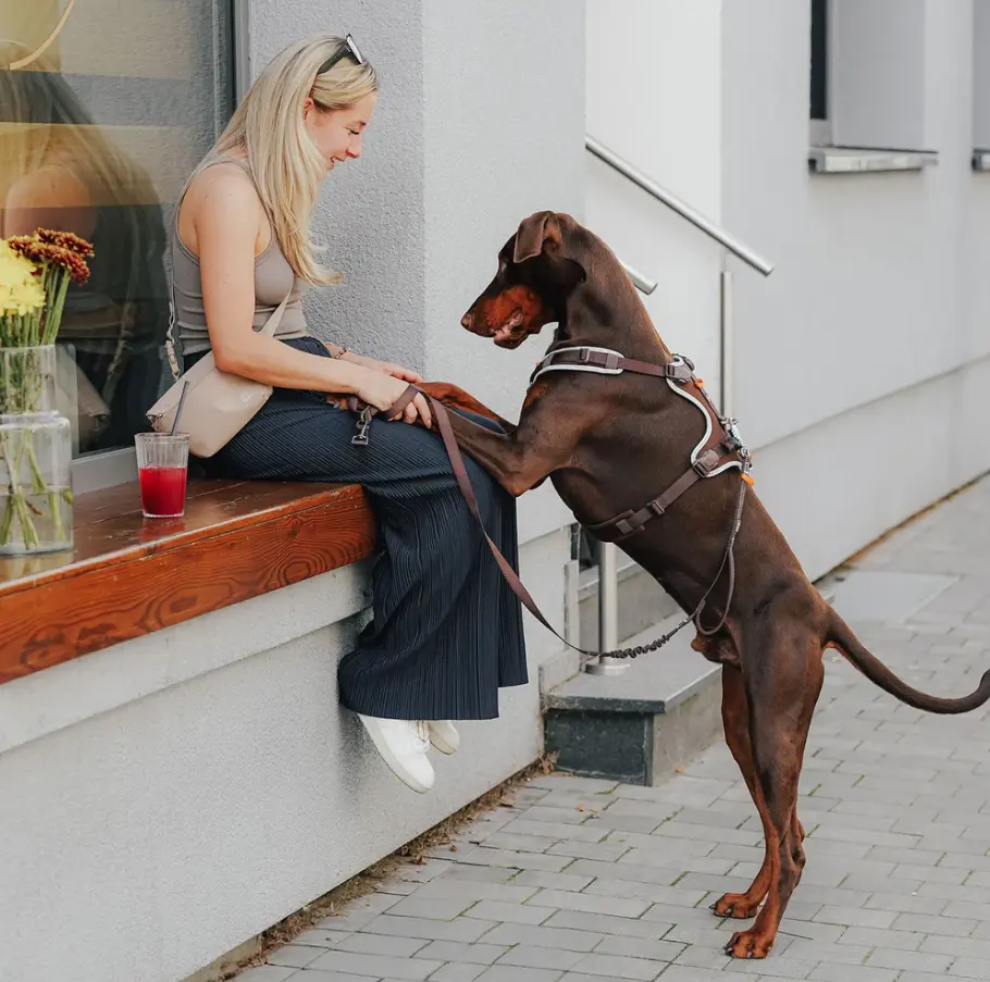 ergomove pro leash 5.webp