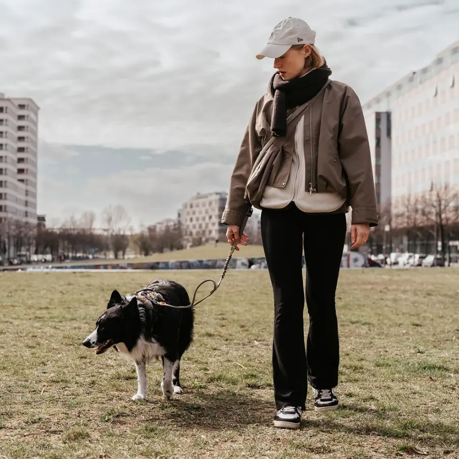ergomove pro leash 2.webp