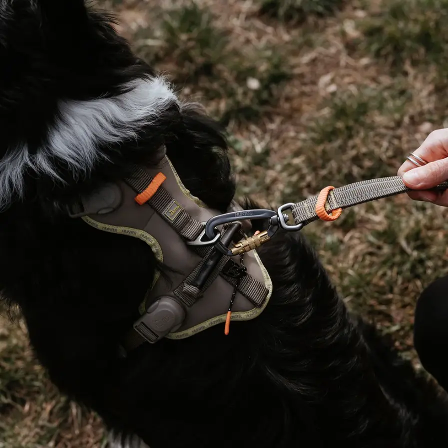 ergomove pro leash 3.webp