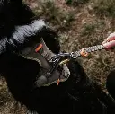 ergomove pro leash 3.webp