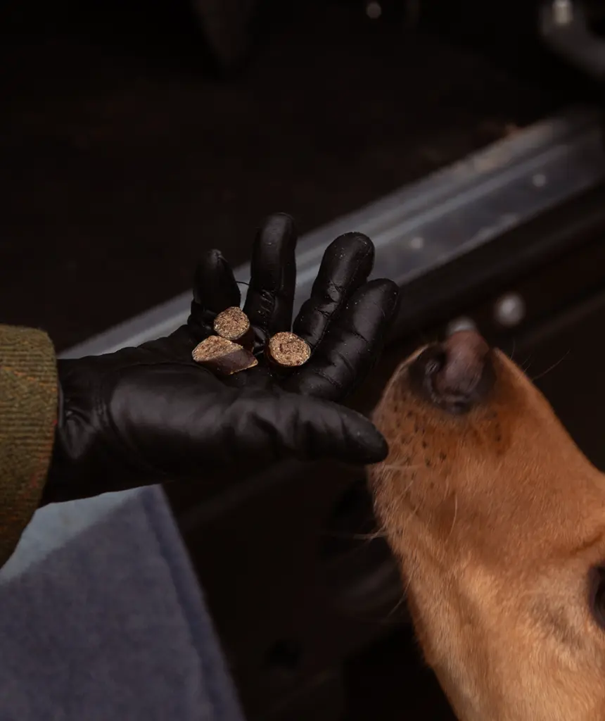 3191-1_FINEST SLICED VENISON & DUCK_Product Image_Website.webp