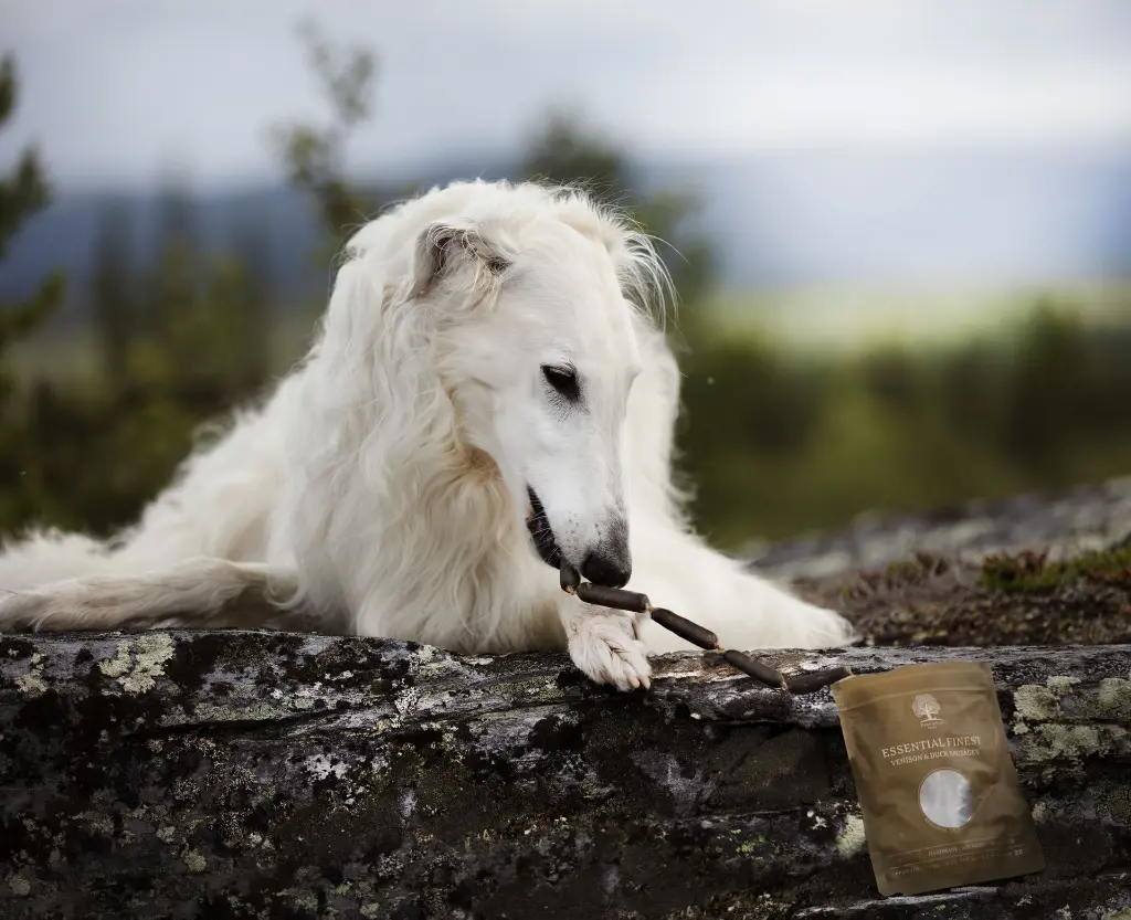 Finest Sausages @zarwoe.oligarch.webp