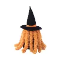 zp crinkle witch 2.webp