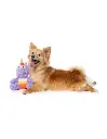 fuzzyard-halloween-toy-candy-corn-electra (2).webp