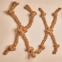 Kokos Spin.webp