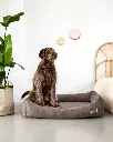 fred corduroy 1.webp