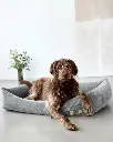 fred corduroy 2.webp