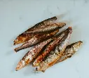 sprot bieten.webp