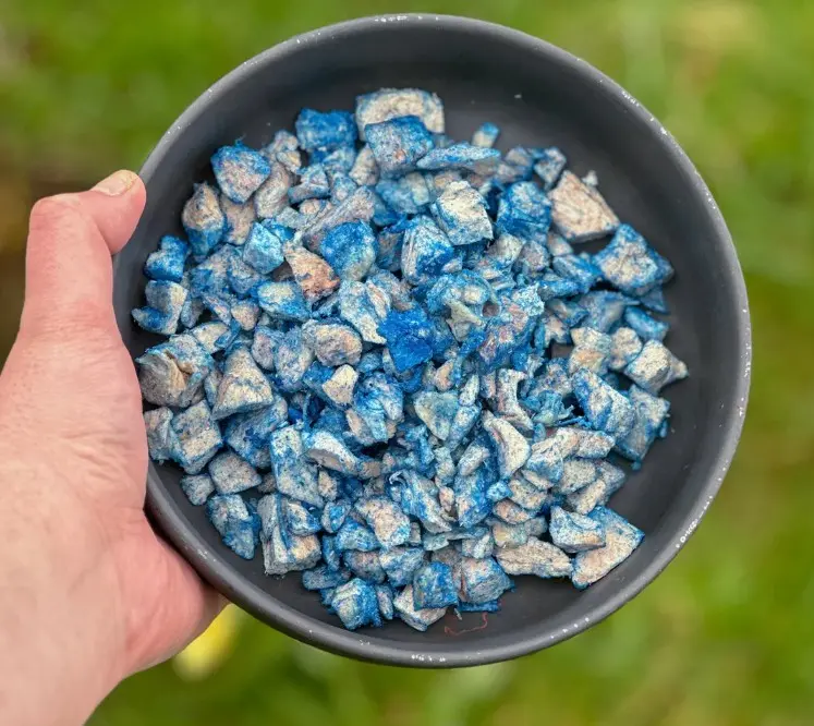 blue spir chicken.webp