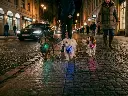 Orbiloc_Dog_MINI[Mint; Sky Blue; Blossom; Harness; 3 dogs; Short-Medium-fur; Small-dog; City; Evening]_HR .webp