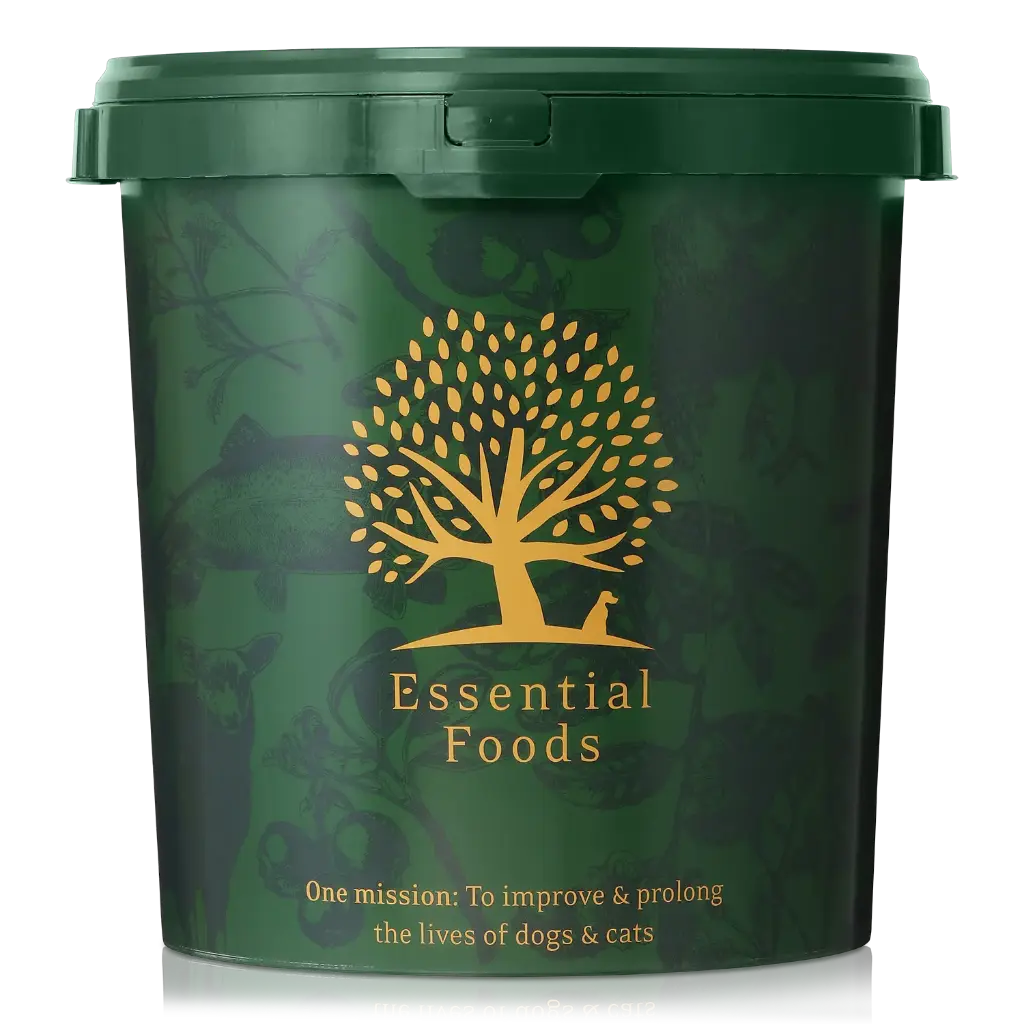 Essential Foods : Food Box Large