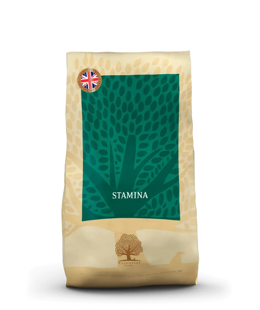 Essential Foods : Stamina - 10 kg