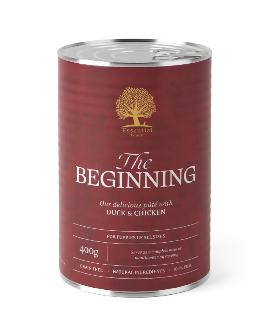 Essential Foods : The Beginning Can