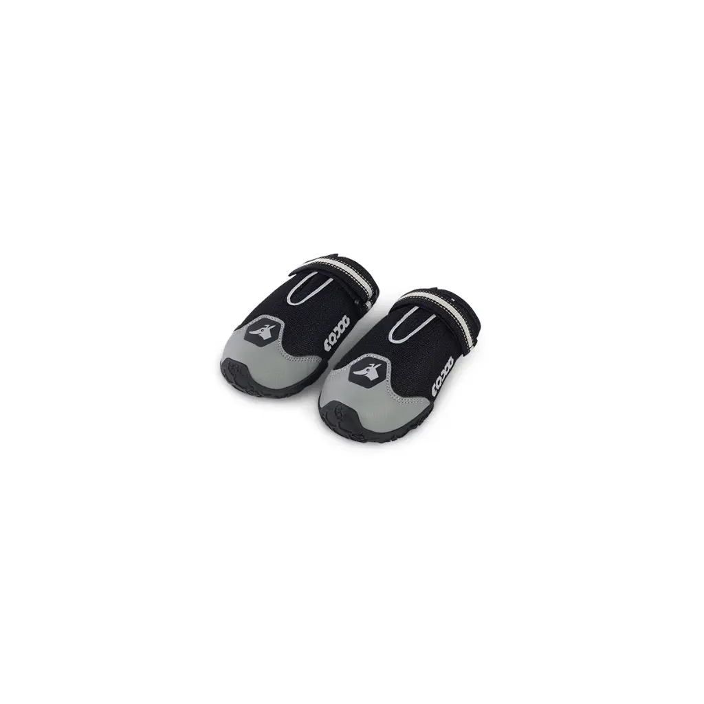 EQDOG : 4 Season Shoes