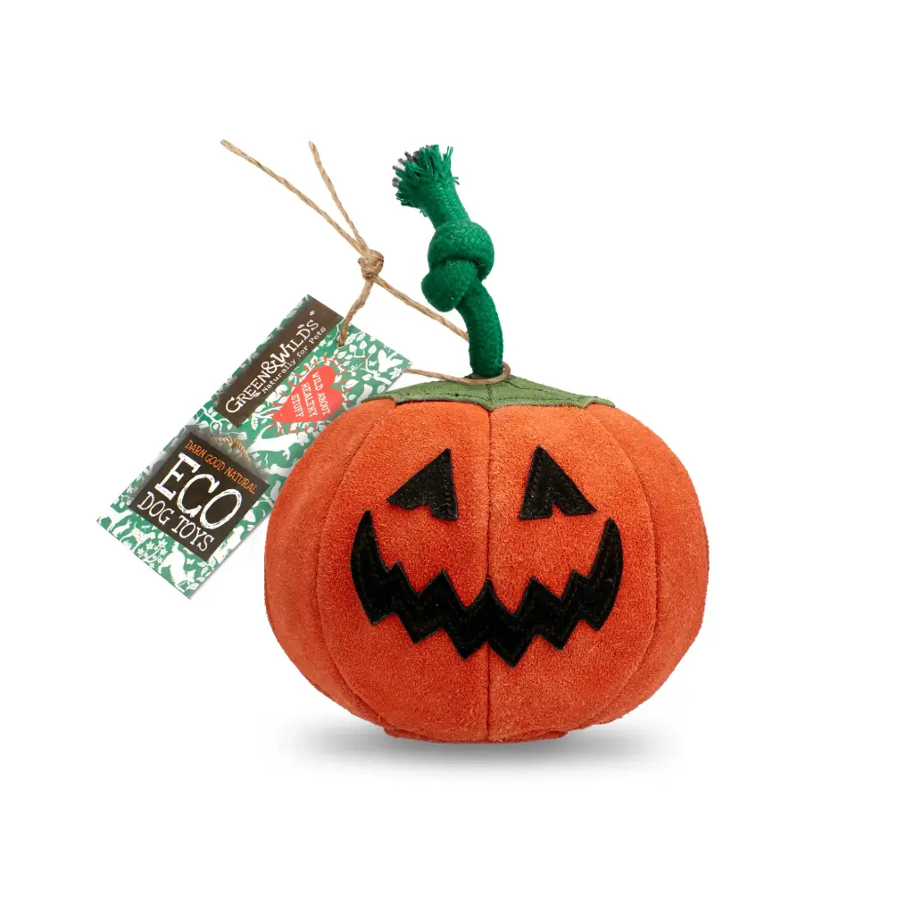 Green & Wilds : Patch the Pumpkin, Eco Dog Toy 