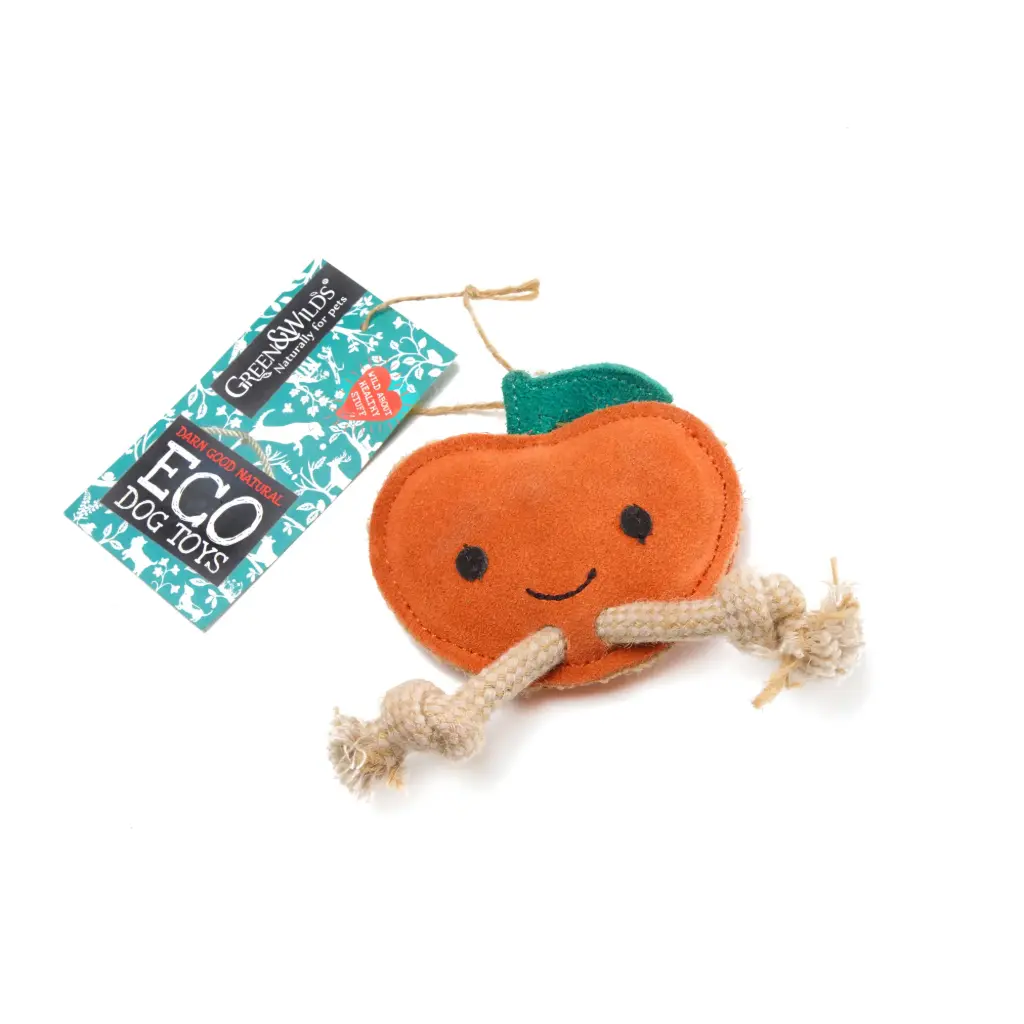 Green & Wilds : Sancho the Satsuma, Eco Cat & Dog Toy