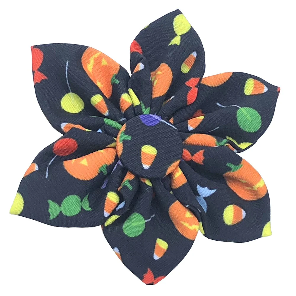 H&K : Pinwheel Trick or Treat