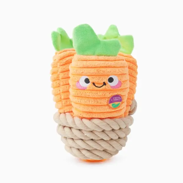 Hugsmart : Puppy Garden - Carrot Bunch