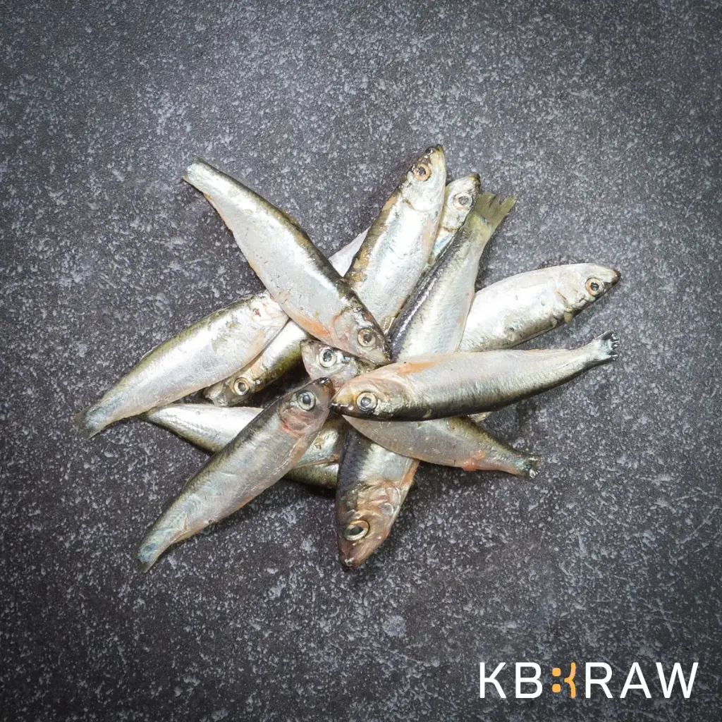 Kiezebrink : Barf - Sprot