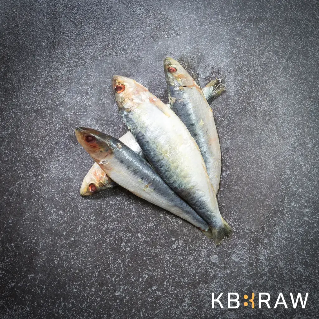 Kiezebrink : Barf - Sardines 