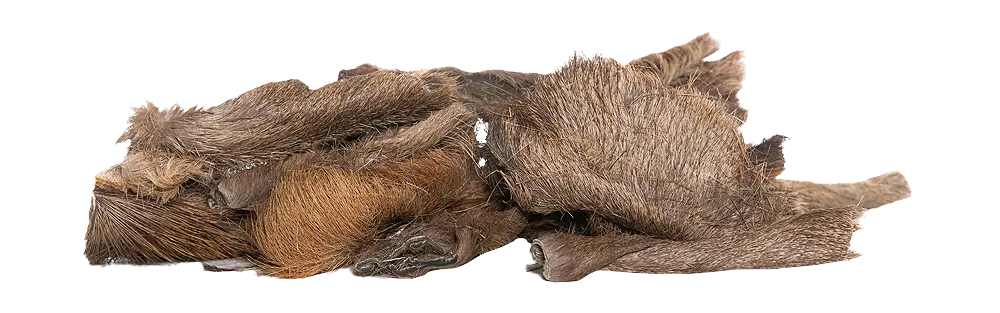 KIVO : Hertenkophuid met Haar 