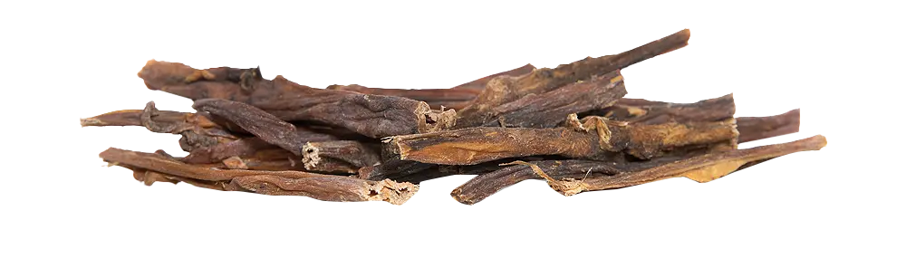 KIVO : Kamelenpens